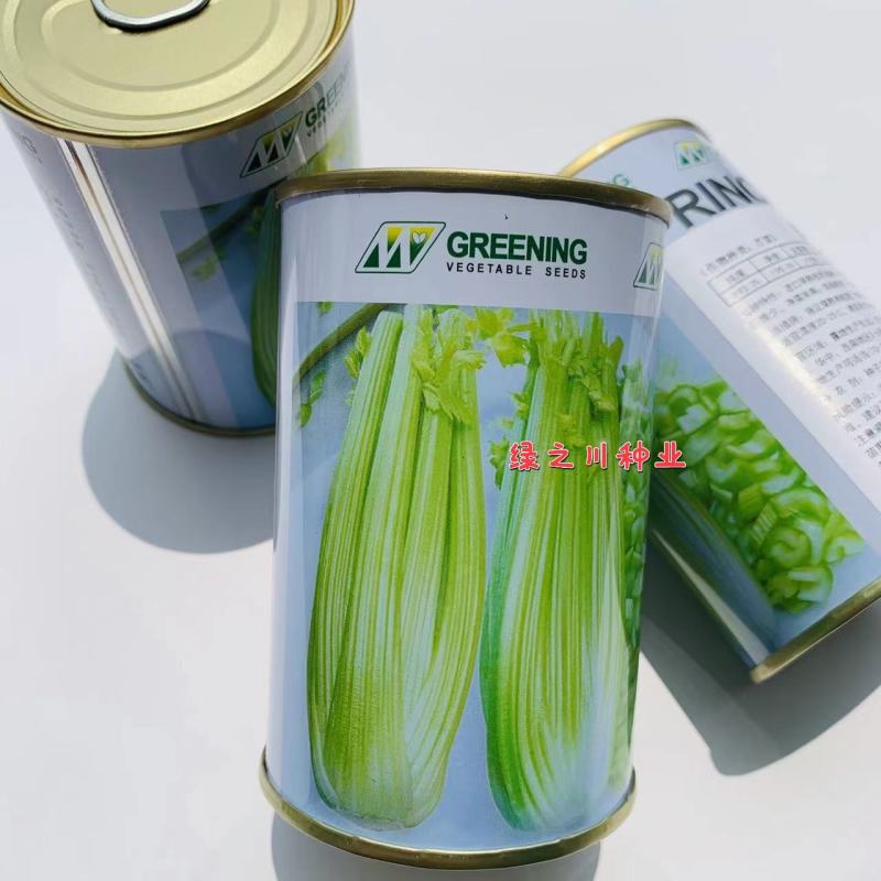 皇后西芹种子大芹菜种子法国皇后芹菜种子四季高产实心
