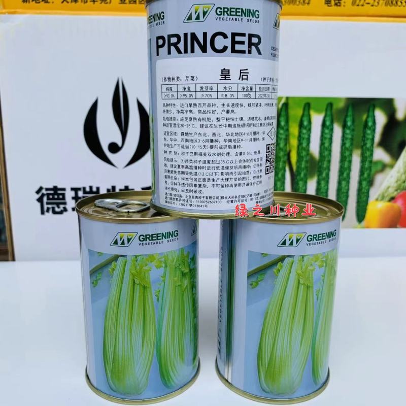 皇后西芹种子大芹菜种子法国皇后芹菜种子四季高产实心