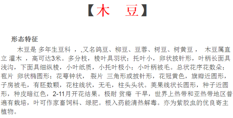 木豆种子木豆草种子灌木种子园林绿化饲料草籽多年生灌木
