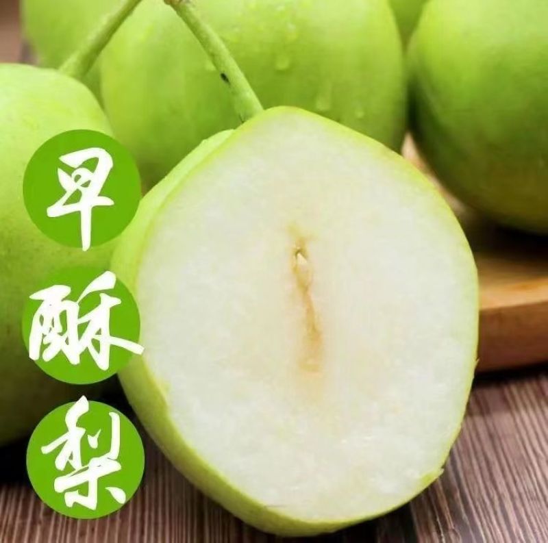 早酥梨刚刚上市，**茬货，保证新鲜色好个头大