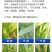 沪联圣稻75%三环唑水稻稻瘟病稻曲病纹枯病穗颈瘟杀菌剂