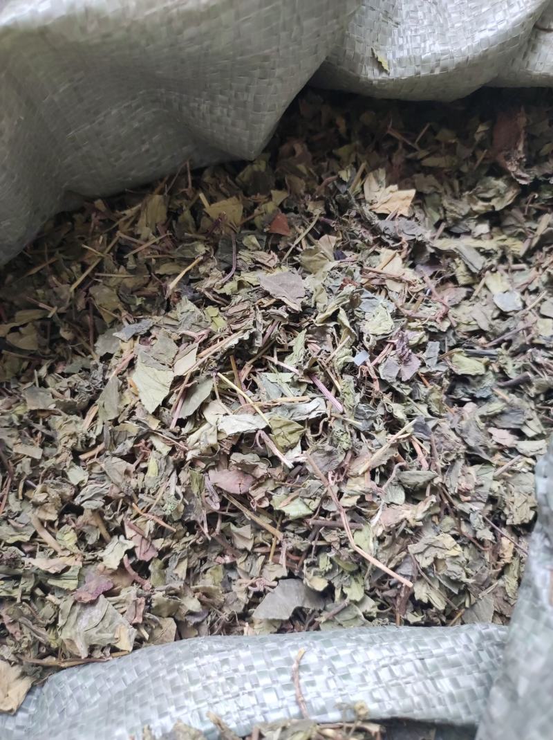 肺形草穿藤金兰花、铁交杯、蝴蝶草、山蝴蝶冷背药材