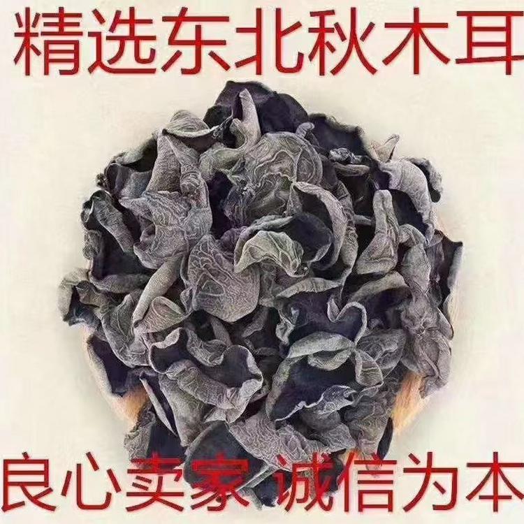 秋木耳批发]东北特产秋耳小碗耳，圆边黑厚，长期有货！量大优惠价格