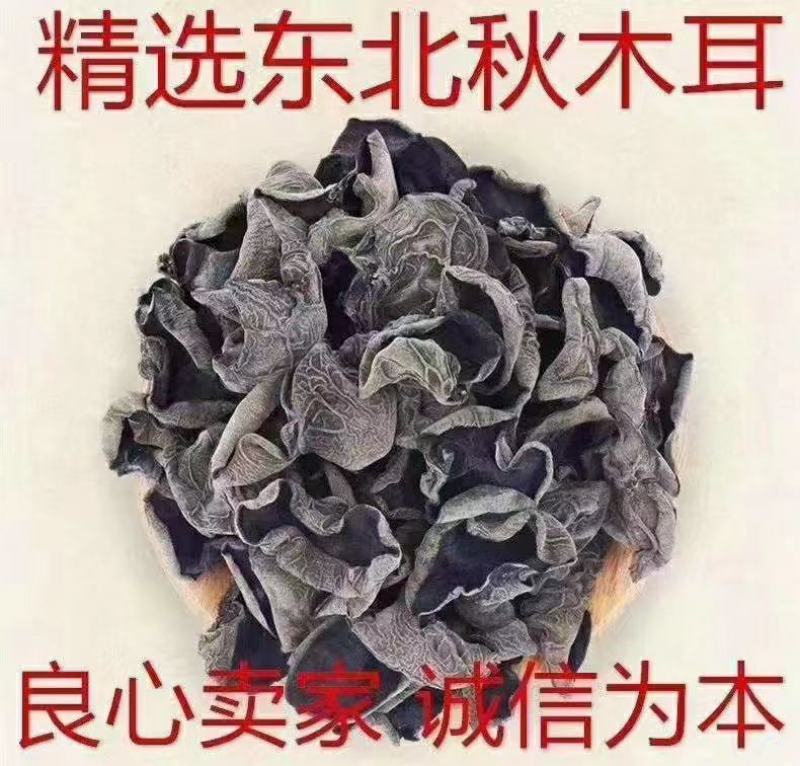 东北特产秋耳小碗耳，圆边黑厚，长期有货！量大优惠