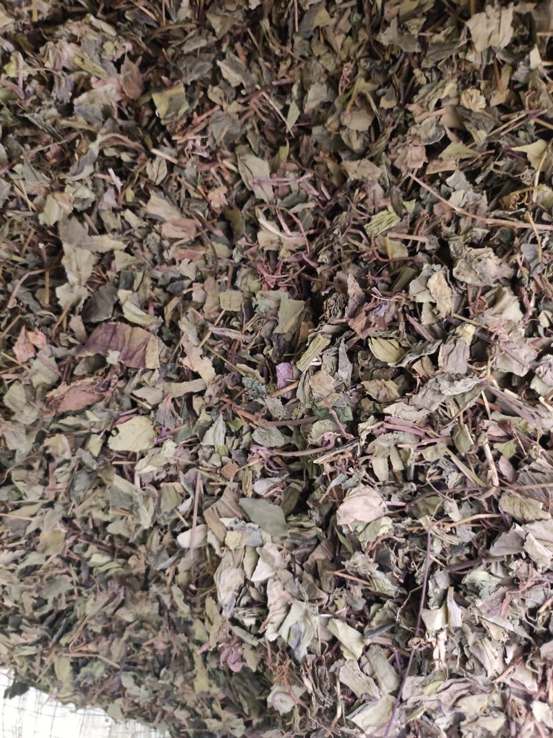 肺形草穿藤金兰花、铁交杯、蝴蝶草、山蝴蝶冷背药材
