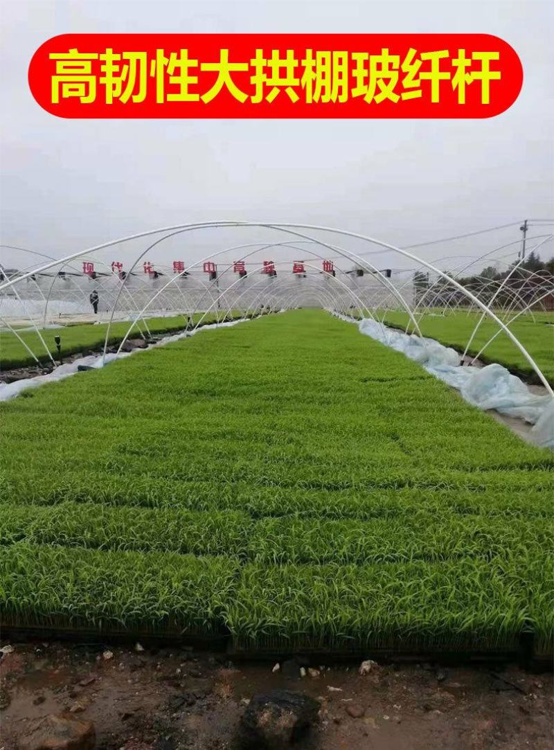 玻璃纤维杆玻纤棒小拱棚拱竿保温棚支撑杆蔬菜大棚小弓棚