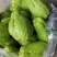 贵州惠水精品佛手瓜，个头均匀卖相好，支持各种包装