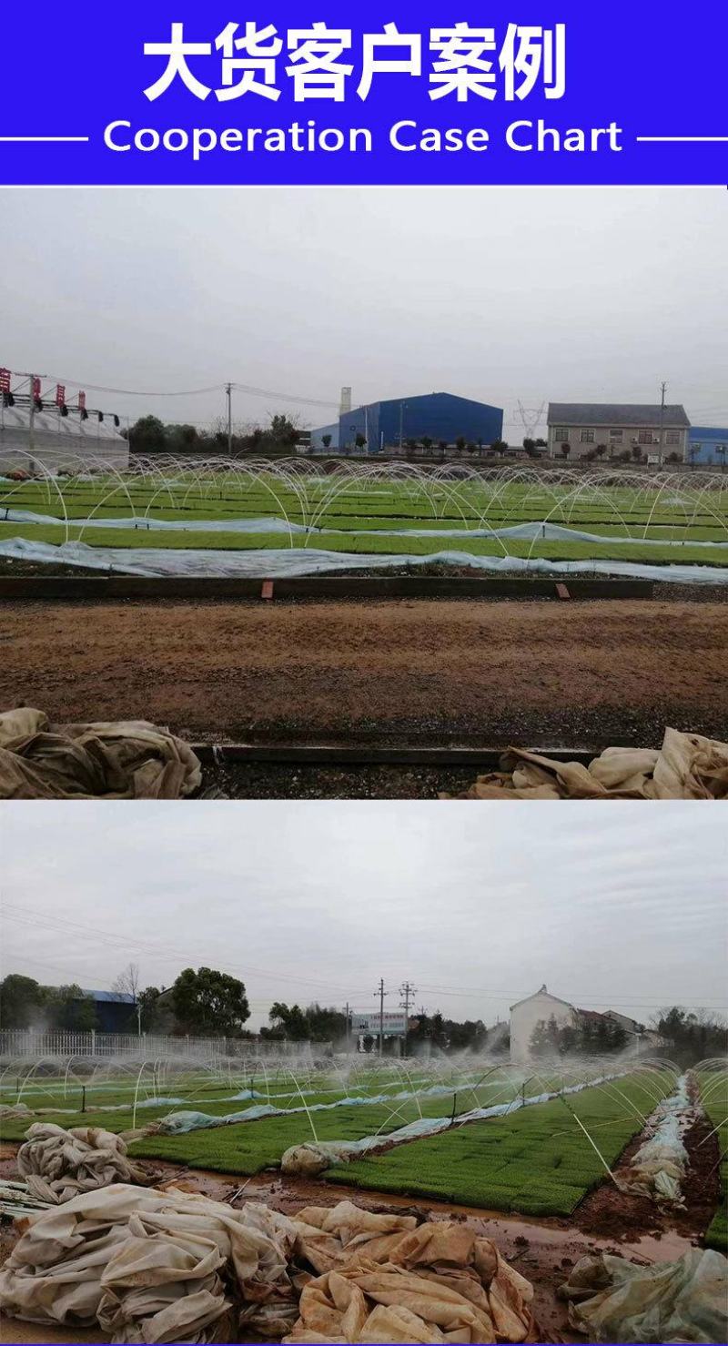 玻璃纤维杆玻纤棒小拱棚拱竿保温棚支撑杆蔬菜大棚小弓棚