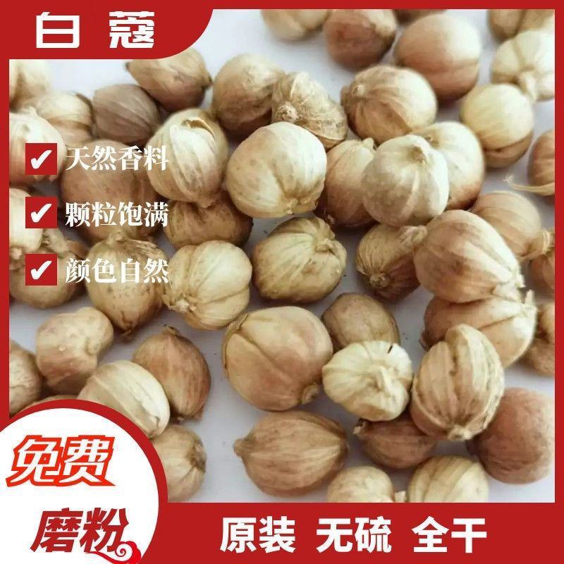 白蔻白豆蔻白扣白寇香料白扣白蔻白蔻全干调料白