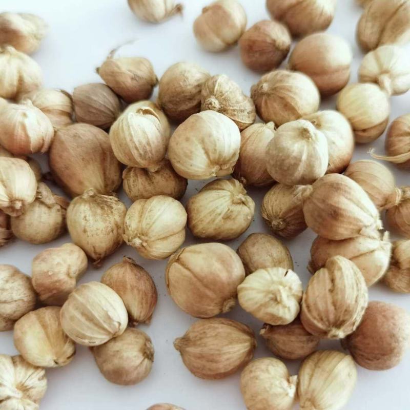白蔻白豆蔻白扣白寇香料白扣白蔻白蔻全干调料白