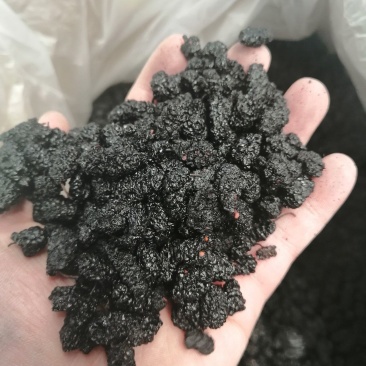 桑椹干桑葚干、桑椹干水洗货大货批发，产地货源