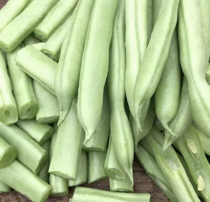 四季豆无筋豆产地看货论价欢迎咨询订购