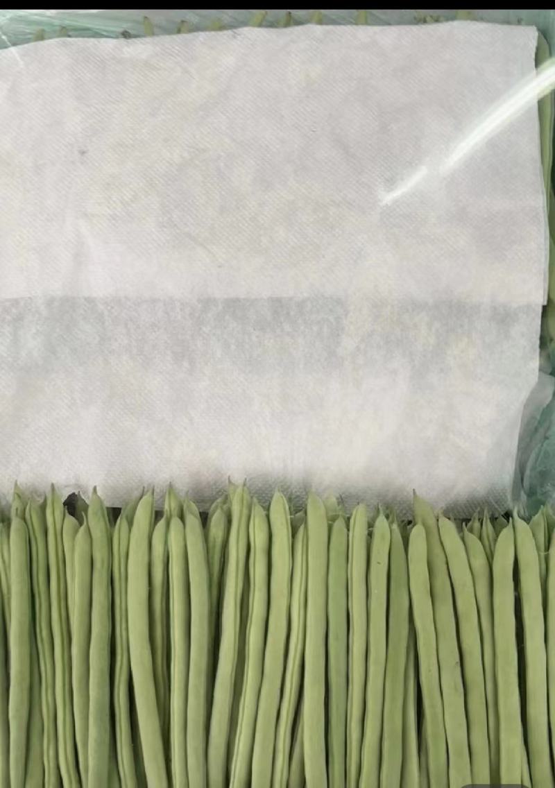 四季豆无筋豆产地看货论价欢迎咨询订购