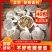 五香卤肉料包袋自制家用懒人卤煮调味料大全卤菜炖肉煮香