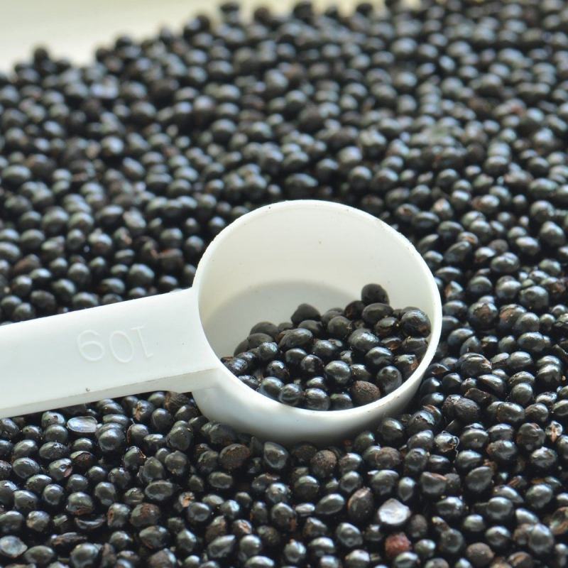 【2022年新货】花椒籽食用花椒种子育苗用大红袍鸽子饲料