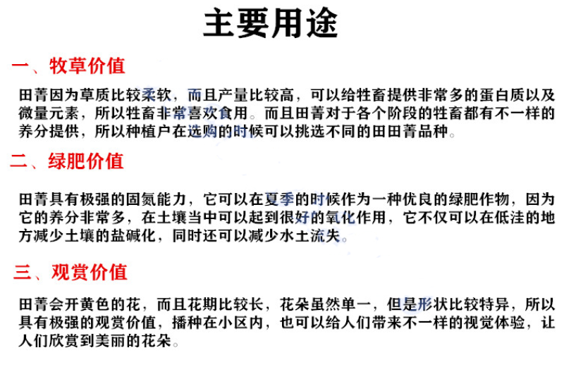 田菁种子草籽碱青涝豆盐碱地改良绿肥果园绿肥耐涝耐旱四季牧