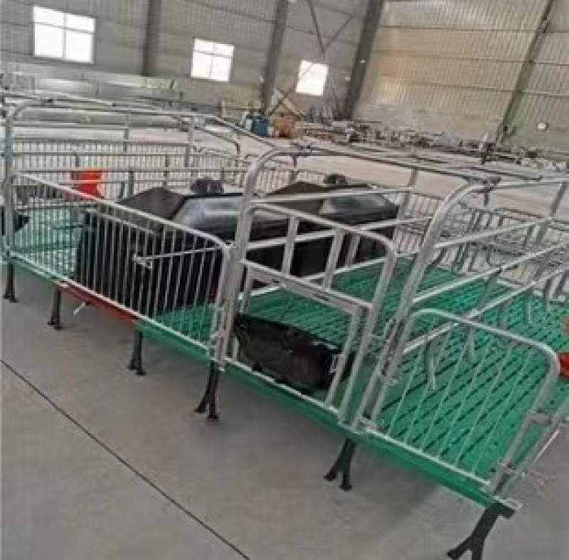 母猪产床复合板猪产床分娩床双体产床上架母猪产床板保育床定