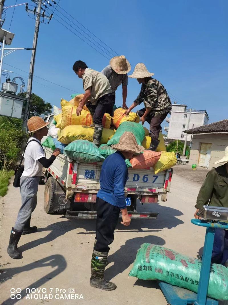 一手货源大量上市，找长期合作者