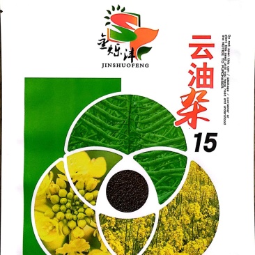 云油杂15油菜种子抗病性，抗倒伏强，生长周期短，产量好
