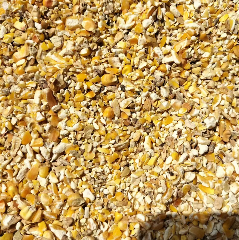 现货直发鸡鸭鹅禽类能量饲料原料碎玉米净粮