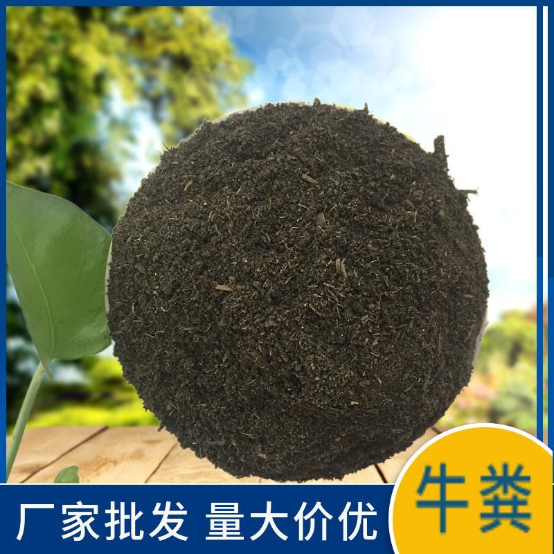 发酵牛粪有机肥果树用肥室内发酵腐熟发酵牛粪
