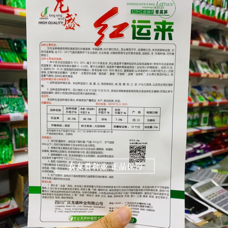 高桩型红叶红皮绿肉香莴笋种子耐寒莴苣种子红尖叶莴笋种籽