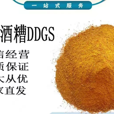 玉米酒糟DDGS厂家直销保质保量欢迎致电