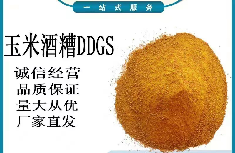 玉米酒糟DDGS厂家直销保质保量欢迎致电