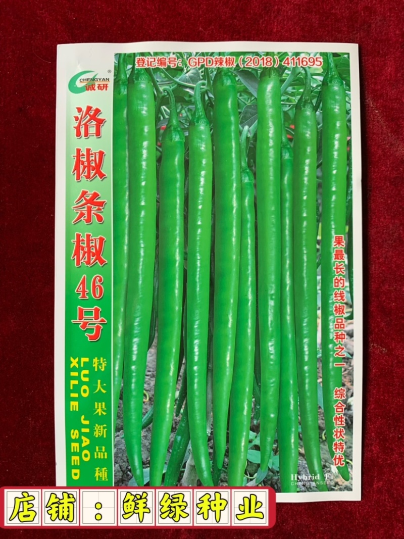 洛椒条椒46号：早中熟品种，果色翠绿，果长26—38cm
