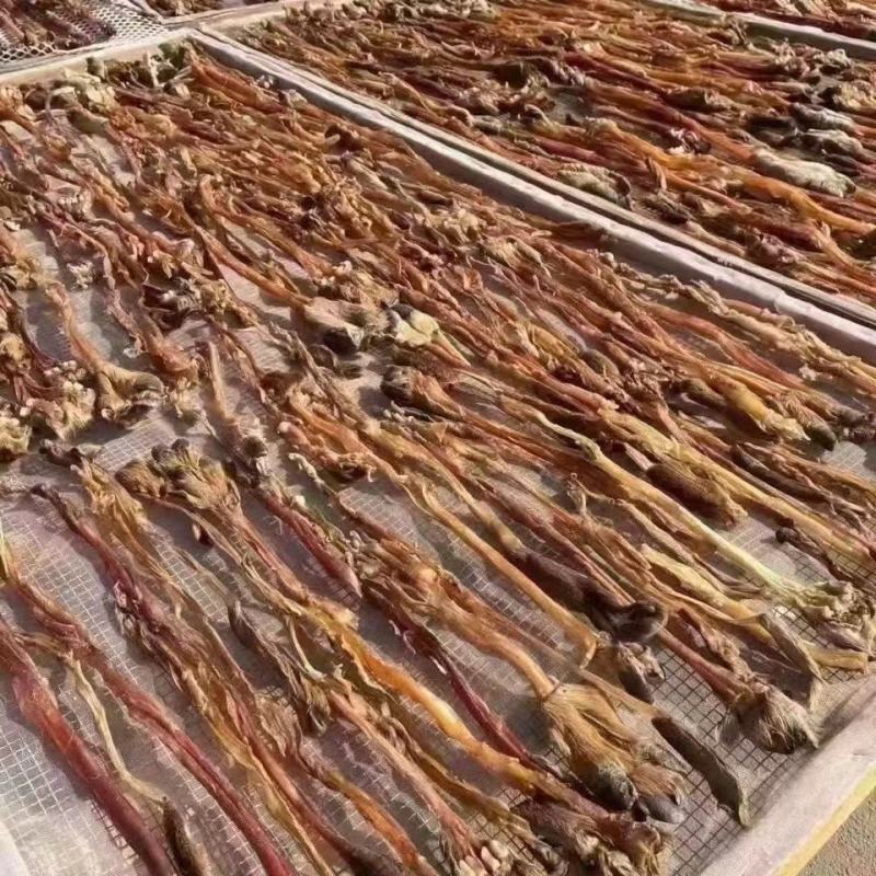 东北正中梅花鹿干鹿筋鹿筋蹄甲鹿筋干鹿筋