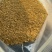 喷浆玉米皮高蛋白高营养饲料