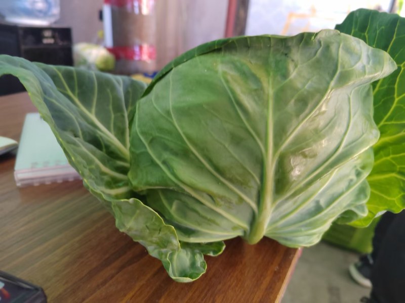 精品甘蓝
