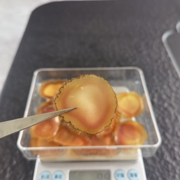 鹿茸蜡片鹿茸片每天早上来几片可泡茶冲服软嫩可口