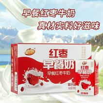 红枣早餐奶儿童红枣味牛奶整箱饮料批发250ML/瓶代餐食
