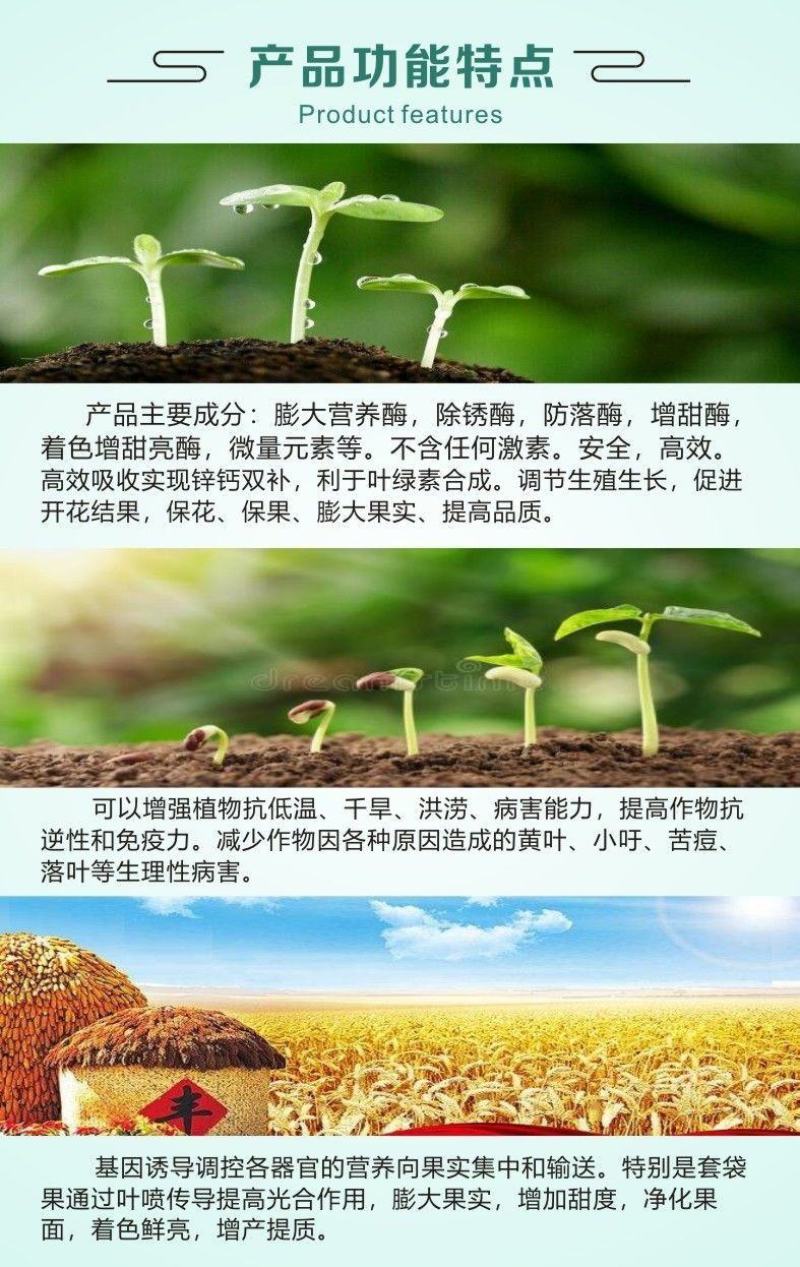 国丰膨果无锈甜净亮亮果素膨大着色剂增甜剂祛果锈净化果面着