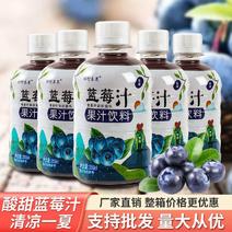 蓝莓汁果汁饮料整箱特价饮料网红高颜值果汁批发蓝莓饮品