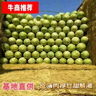 【精品推荐】宁夏硒砂瓜金花西瓜产地直供量大从优