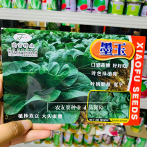 晓富墨玉青菜种子叶色绿油亮青菜种子耐热耐雨大头束腰