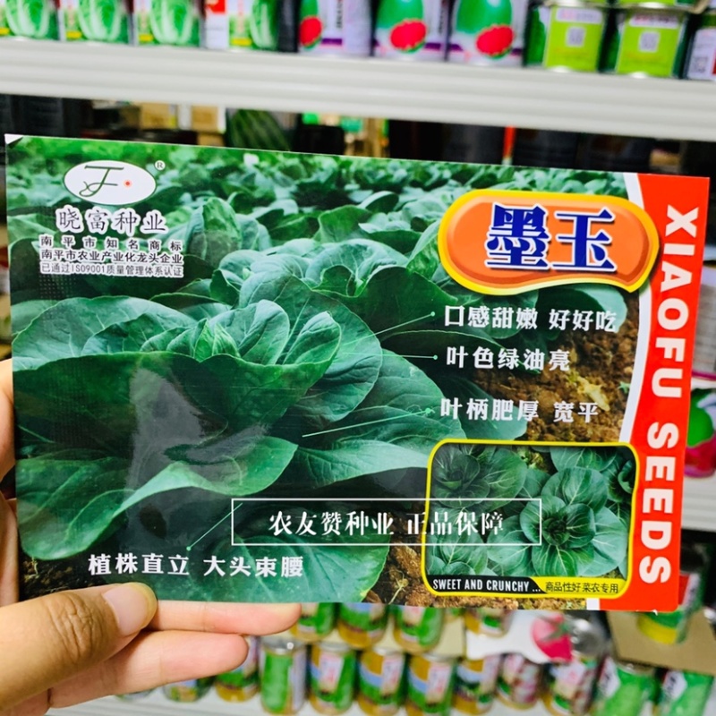 晓富墨玉青菜种子叶色绿油亮青菜种子耐热耐雨大头束腰