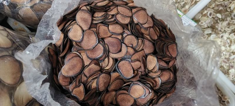 鹿茸片10克45元包邮(偏远地区除外)