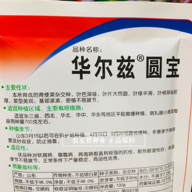 华尔兹圆宝青梗菜种子耐热抗病一代杂交油亮型青梗菜种子