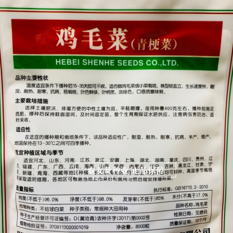 神禾鸡毛菜种子青梗菜种子四季种植蔬菜耐寒耐热小青菜