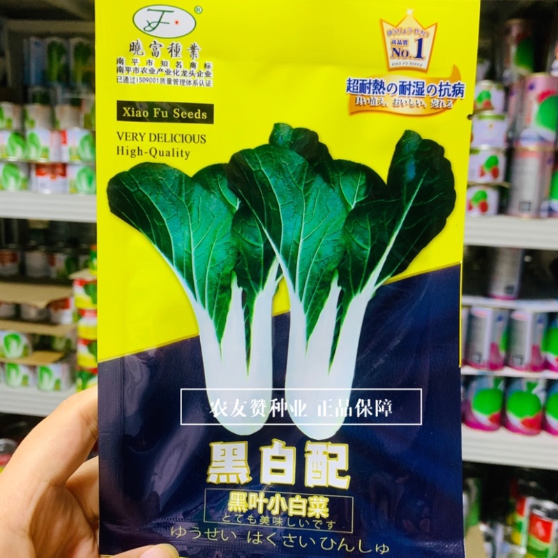 晓富黑白配小白菜种子杂交一代黑叶小白菜种籽特耐热耐湿