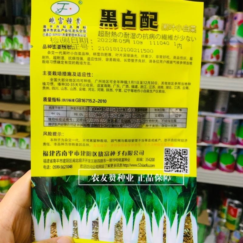 晓富黑白配小白菜种子杂交一代黑叶小白菜种籽特耐热耐湿