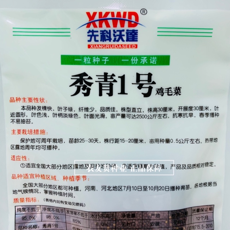 秀青1号鸡毛菜种子叶子绿纤维少四季蔬菜鸡毛菜种籽