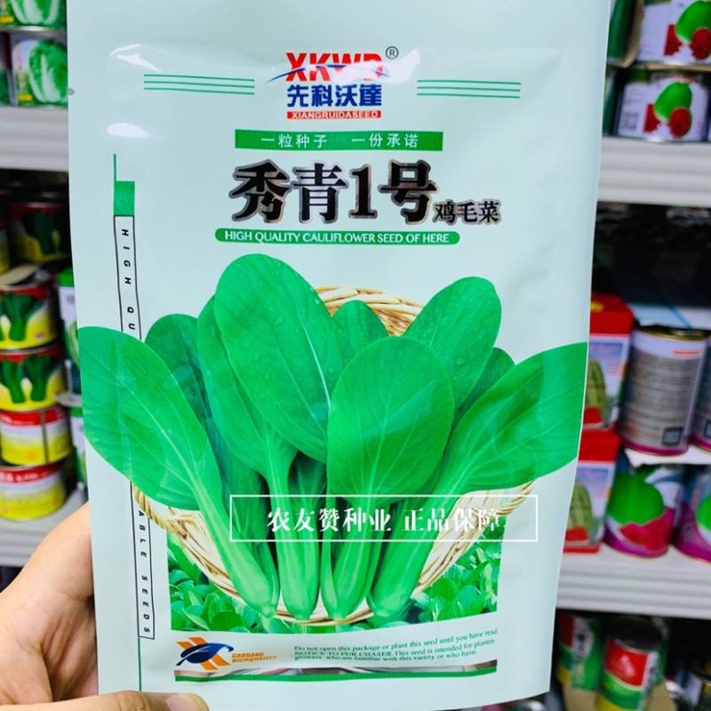 秀青1号鸡毛菜种子叶子绿纤维少四季蔬菜鸡毛菜种籽