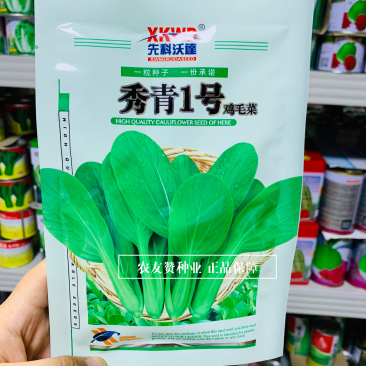 秀青1号鸡毛菜种子叶子绿纤维少四季蔬菜鸡毛菜种籽