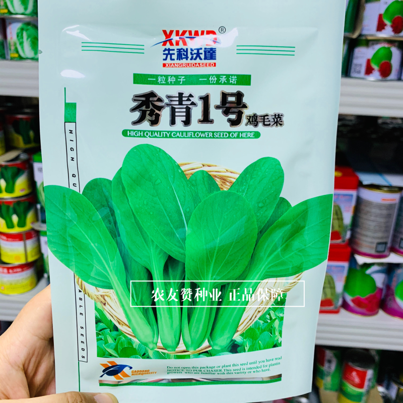 秀青1号鸡毛菜种子叶子绿纤维少四季蔬菜鸡毛菜种籽