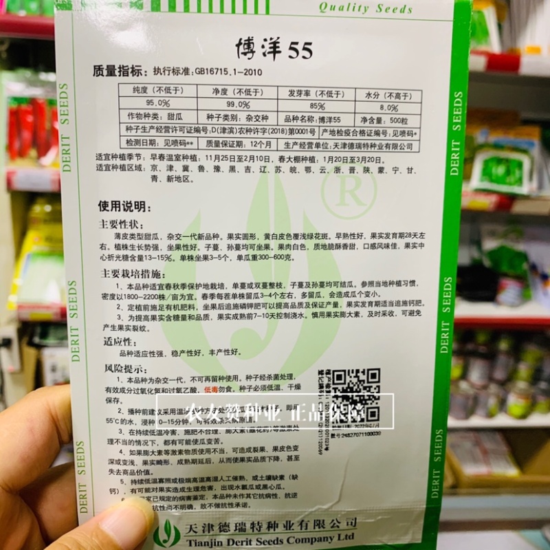 黄皮甜瓜种子博洋55甜瓜种子早熟圆形甜瓜种籽露地保护地