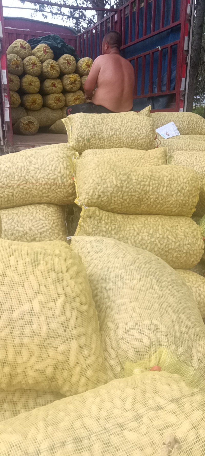 鲜花生，皮薄，